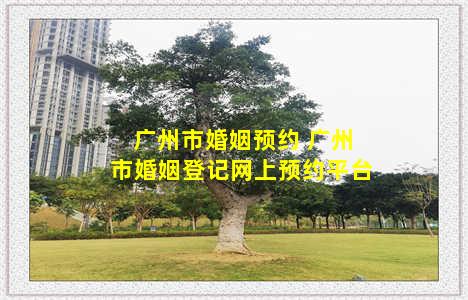 广州市婚姻预约 广州市婚姻登记网上预约平台